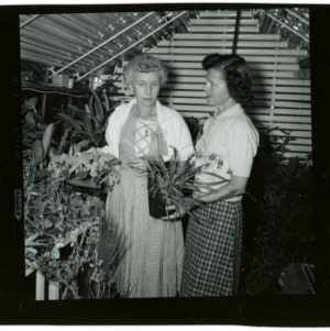County Achievement Day in Haywood County; Home Demonstration Woman at Greenhouse