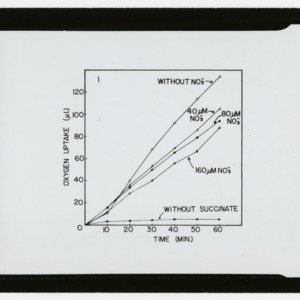 Oxygen Uptake over Time Chart