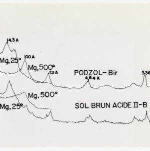 Sol Brun Acide II-B and Podzol-Bir Chart
