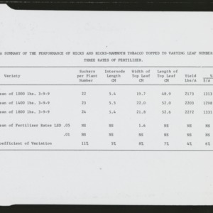 Summary of the performance of Hicks and Hicks-Mammoth tobacco topped to varying leaf numbers with three rates of fertilizer table