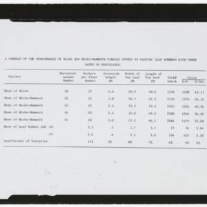 Summary of the performance of Hicks and Hicks-Mammoth tobacco topped to varying leaf numbers with three rates of fertilizer table