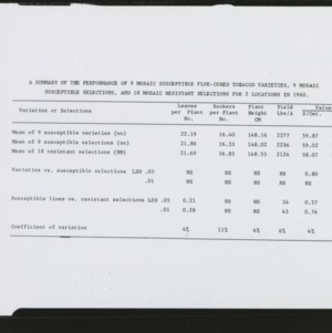 Summary of the performance of 9 mosaic susceptible flue-cured tobacco varieties, 9 mosaic susceptible selections, and 18 mosaic resistant selections for 2 locations in 1960 table