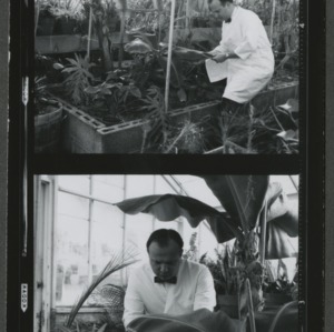 Eldrin in botany greenhouse