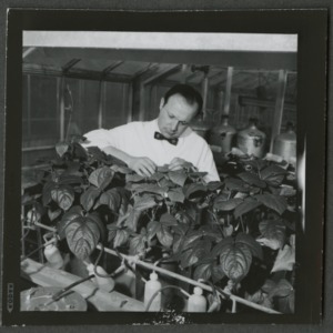 Eldrin in botany greenhouse
