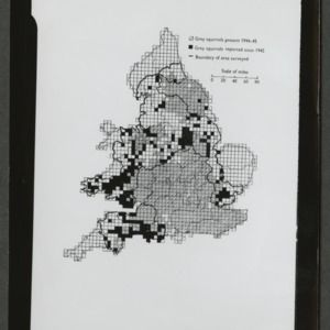 Squirrel range maps in England