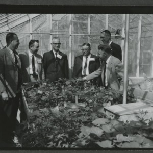 Plant pathologist Dr. Lowell Neilson in greenhouse