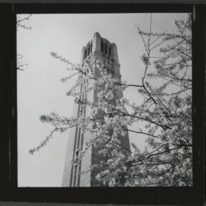 Memorial Tower in spring