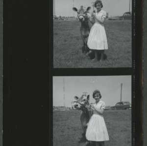 4-H girl with calf
