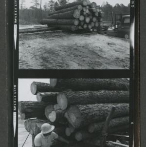 Small logging operation