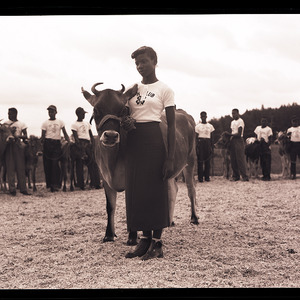 African American Junior Dairy Cattle Show at Taylorsville. 31 August, 1950.