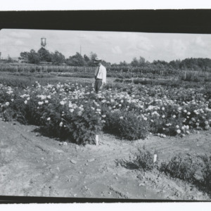 Prof G. O. Randall with flower beds at Method Station