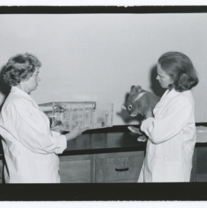 Winifred Hobbs and Martha Matthias with rabbits experiment