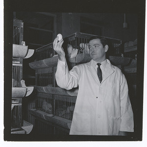 W. L. Payne conducting poultry research