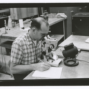 W. K. Turner using microscope in peanut research lab