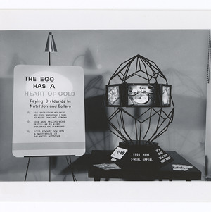 Egg exhibit and model of egg