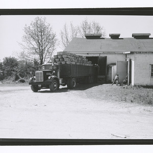 Truck with baskets for sweet potato processing plant