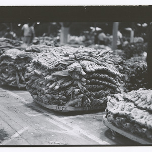 Tobacco at Wendell warehouse
