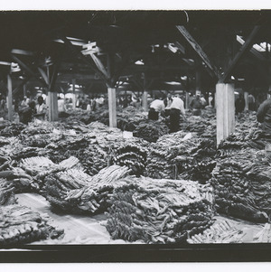 Tobacco at Wendell warehouse