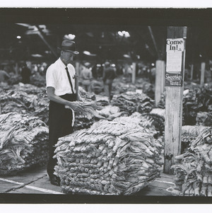 Tobacco at Wendell warehouse