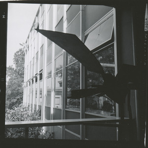 View from Brooks Hall window