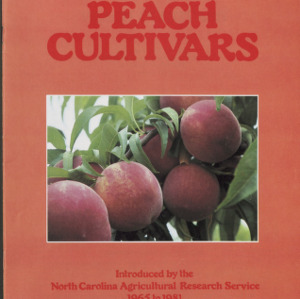 Peach Cultivars (Station Bulletin 464), August 1982