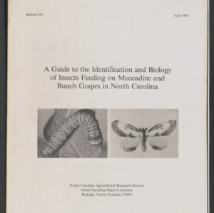 A Guide to the Identification and Biology of Insects Feeding on Muscadine and Bunch Grapes in North Carolina (Bulletin 470), Apr. 1985
