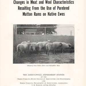 Changes in Meat and Wool Characteristics Resulting From the Use of Purebred Mutton Rams on Native Ewes (Technical Bulletin 60), Apr. 1939