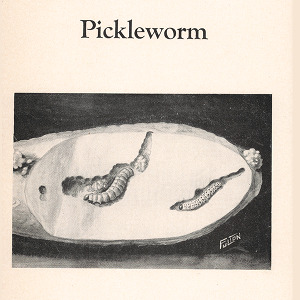 Biology and Control of the Pickleworm (Technical Bulletin 85), Dec. 1947