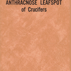 Anthracnose Leafspot of Crucifers (Technical Bulletin 92), Jul. 1950