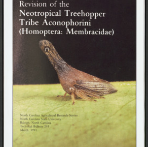 Revision of the Neotropical Treehopper Tribe Aconophorini (Homoptera: Membracidae), 1991 March (Technical Bulletin 293)