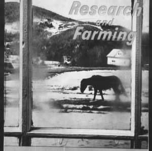 Research and Farming Vol. 23 No. 2