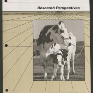 Research Perspectives, Vol. 5, No.1, Spring 1986