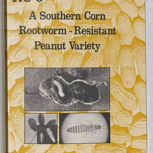 NC 6: A southern corn rootworm - Resistant peanut variety (North Carolina Agricultural Experiment Station Bulletin No. 458)
