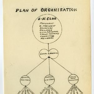 Plan of Organization
