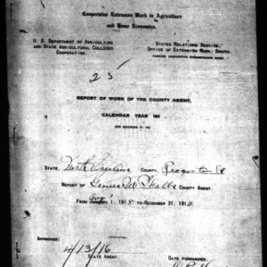 Report of Work of the County Agent, Pasquotank County, NC