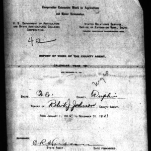 Report of Work of the County Agent African American Report, Duplin County, NC