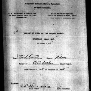 Report of Work of the County Agent Copy of African American Report, Wilson County, NC