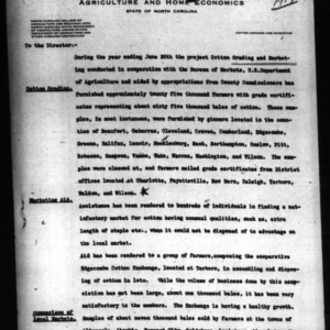 Report to the Director of Cotton Grading and Marketing, 1917