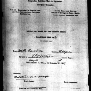 Report of Work of the County Agent, Wayne County, NC