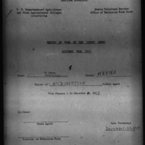 Report of Work of the County Agent, Wayne County, NC