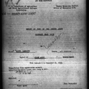 Report of Work of the County Agent White and African American