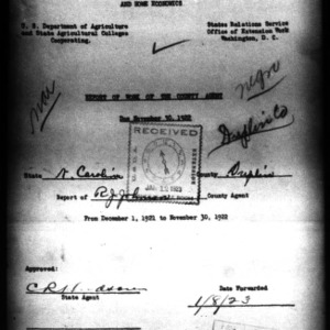 Report of Work of the County Agent African American Report, Duplin County, NC