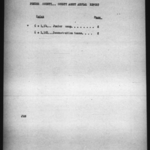 County Extension Agent Annual Narrative Report, Pender County, NC, 1924