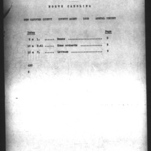 County Extension Agent Annual Narrative Report, New Hanover County, NC, 1928