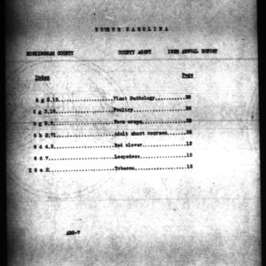 County Agent Annual Narrative Report, Rockingham County, NC, 1928