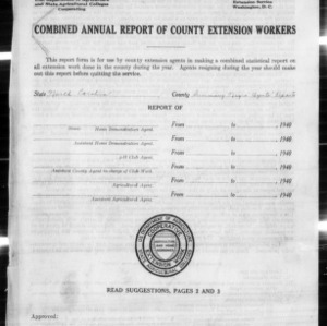 Combined Annual Report of County Extension Workers, Summary of African American Agents Reports