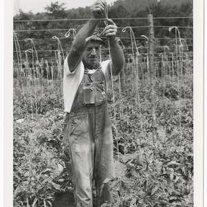Wilkes County: Photos of Ed Hendren, Jim Daniel, and A.L. Taylor, undated