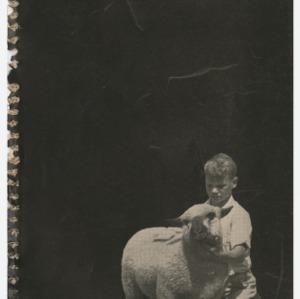 4-H Club Sheep Manual (Club Series No. 30, Revised)