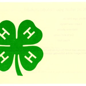 Look at what you can do in 4-H! (4-H Flyer 1-100)