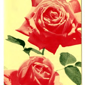 Roses (Agricultural Extension Publication 002, Reprint)